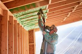 Best Garage Insulation  in Lago Vista, TX