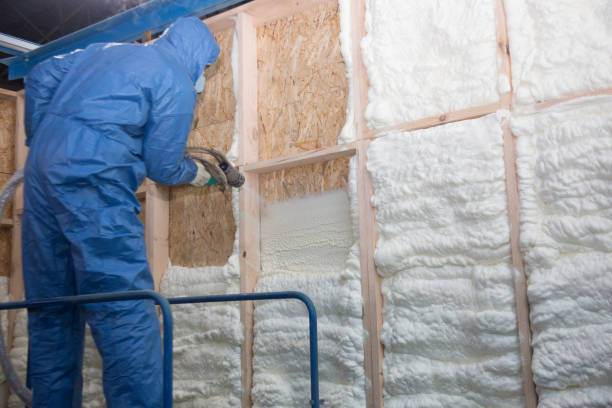 Best Wall Insulation Installation  in Lago Vista, TX